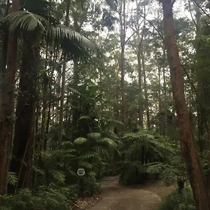  Lodge Mountain